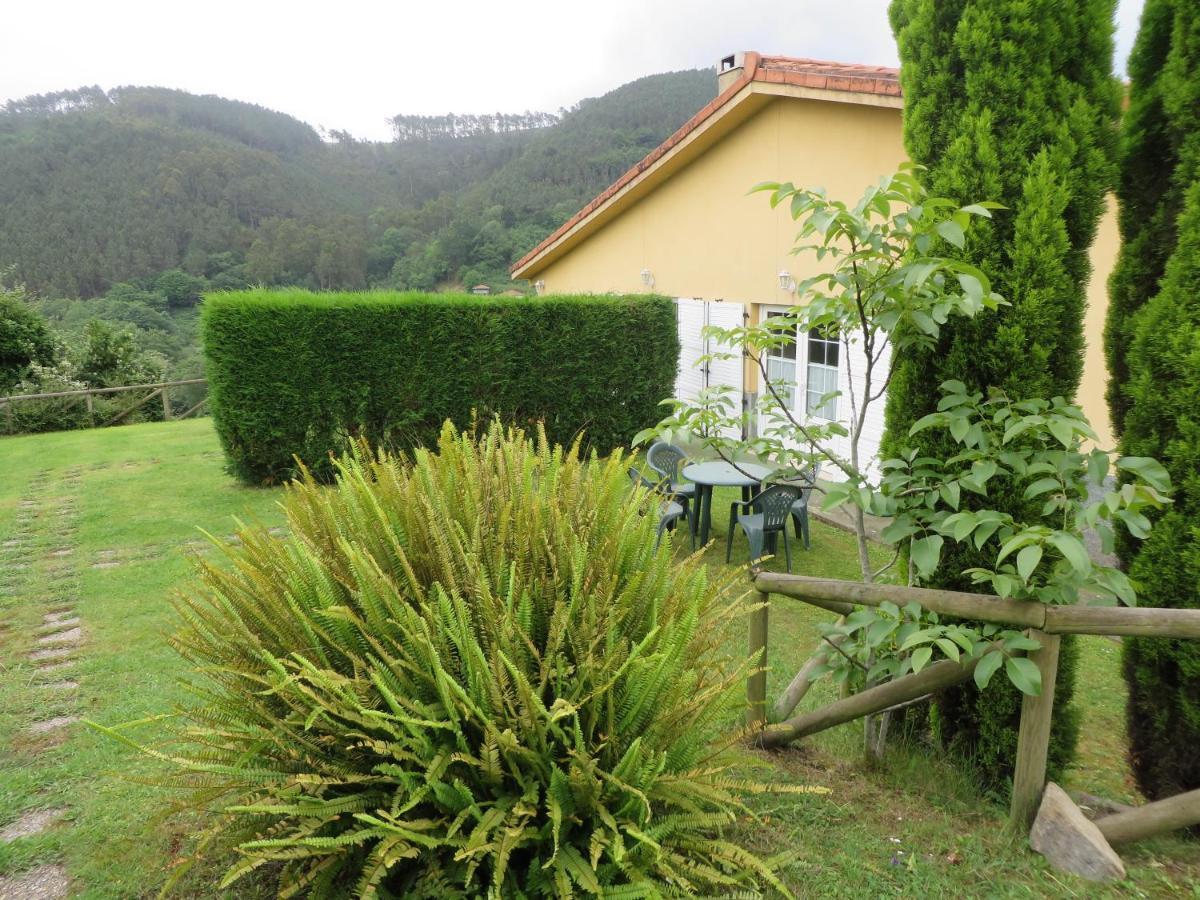 Apartamentos El Otero De Cudillero Soto de Luiña 部屋 写真